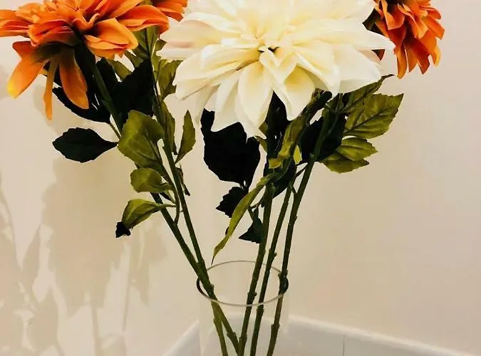 Sogni D'oro * 바리